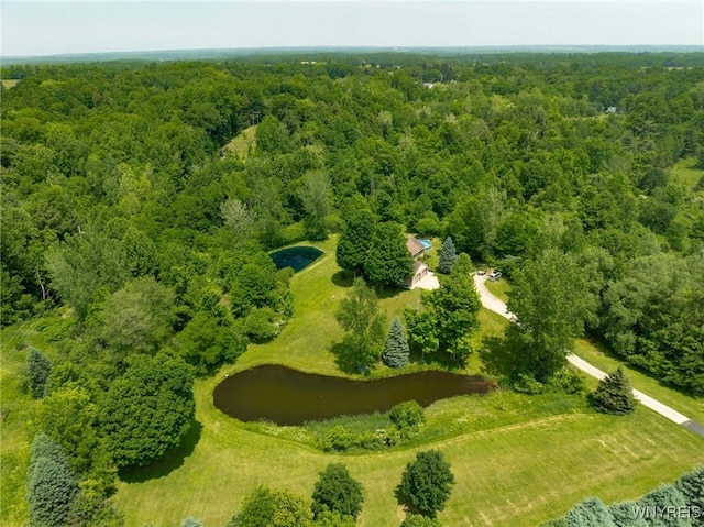 2328 Gowanda Zoar Rd, Collins, NY 14070 - aerial view of a heavily wooded area and a large body of water