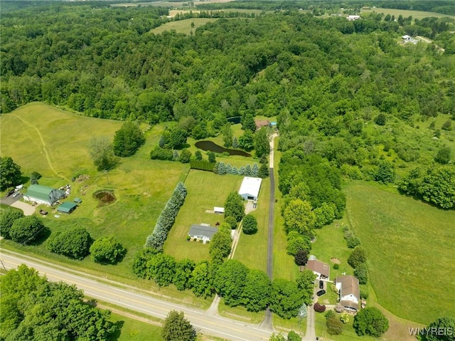 2328 Gowanda Zoar Rd, Collins, NY 14070 - view of rural area featuring a forest