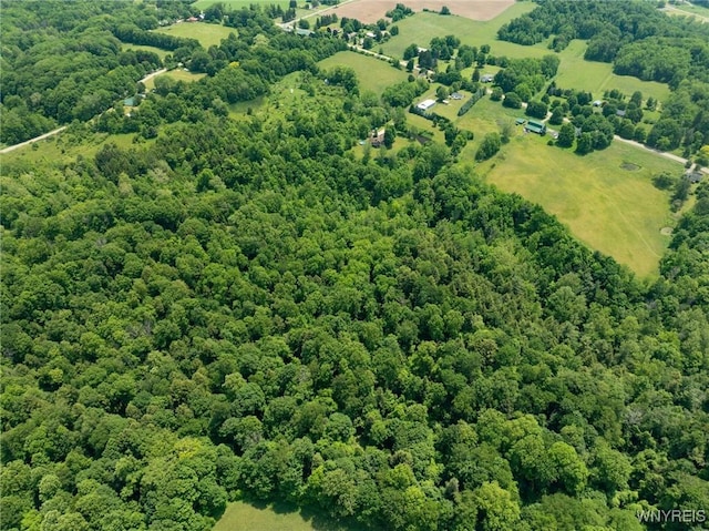 2328 Gowanda Zoar Rd, Collins, NY 14070 - aerial view