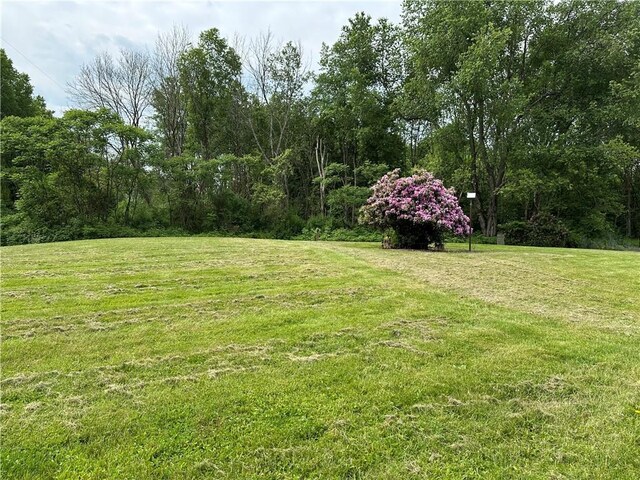 6879 County Road 32, North Norwich, NY 13815 - photo 3