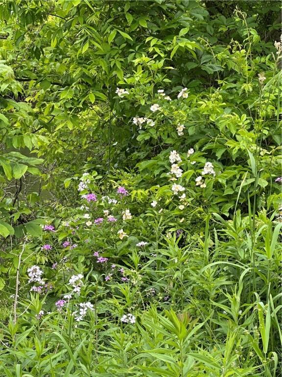 6879 County Road 32, North Norwich, NY 13815 - photo 50