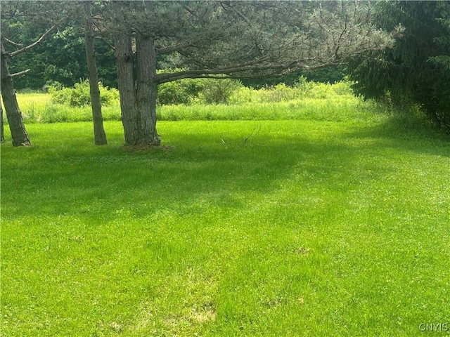 36 Lee Rd, Dryden, NY 13053 - view of yard