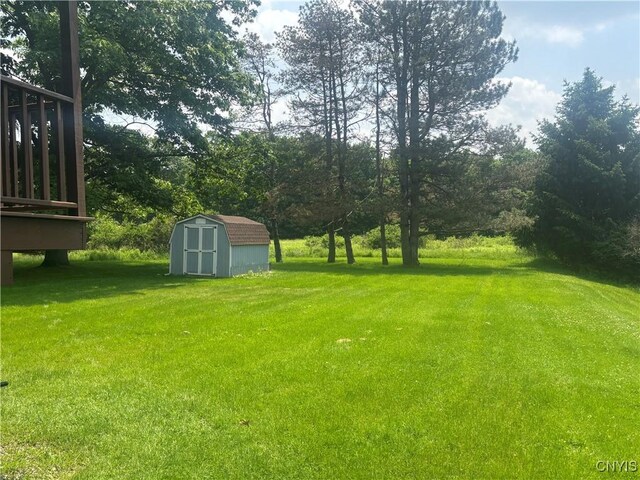 36 Lee Rd, Dryden, NY 13053 - view of grassy yard featuring a storage shed