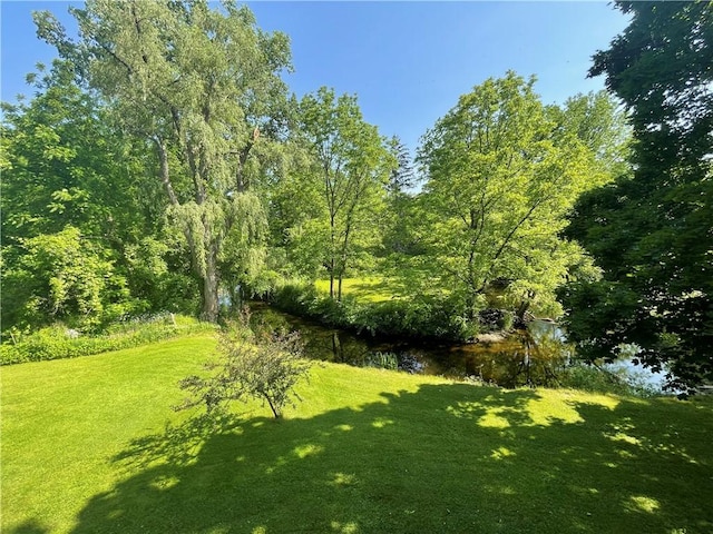 1289 W Ave, Parma, NY 14468 - photo 48