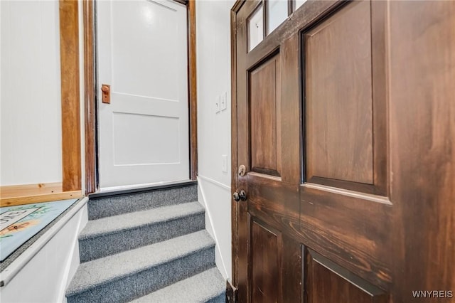 315 Westfield Rd N, Amherst, NY 14226 - stairway with carpet