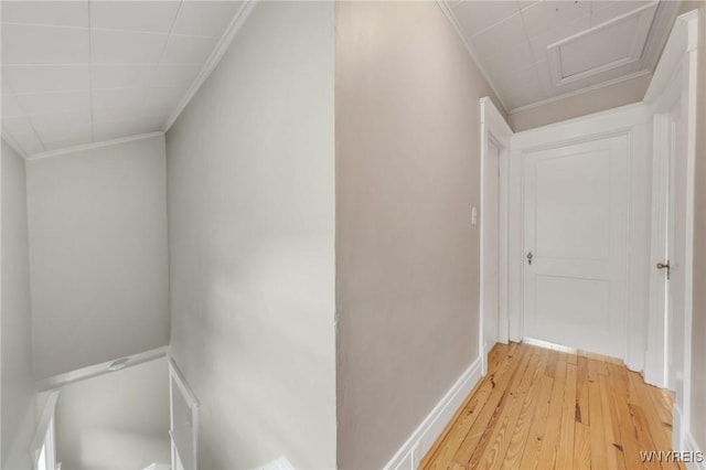 315 Westfield Rd N, Amherst, NY 14226 - hall with crown molding, light wood-style floors, and attic access