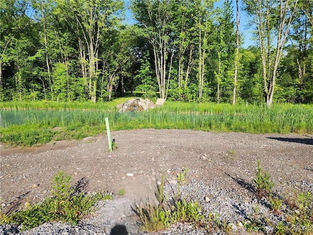 9390 Fox Rd, Sullivan, NY 13030 - photo 5