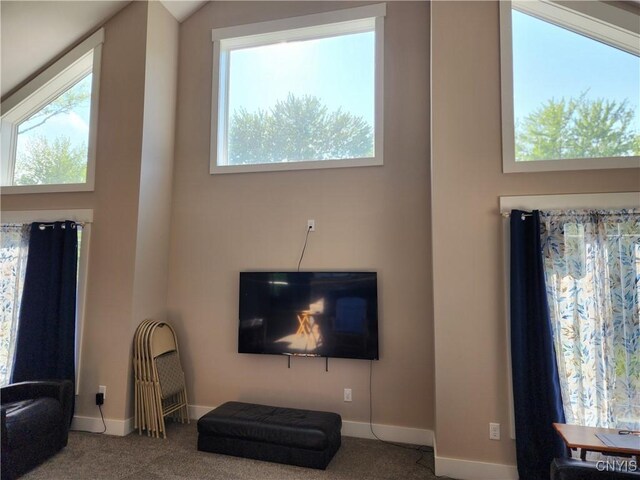9390 Fox Rd, Sullivan, NY 13030 - photo 10