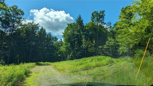 214 Larchwood Ln, Laurens, NY 13796