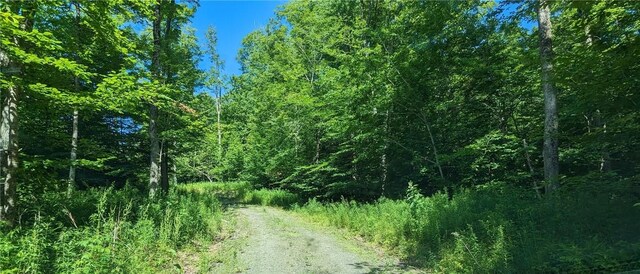 214 Larchwood Ln, Laurens, NY 13796