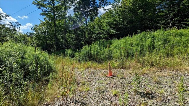 214 Larchwood Ln, Laurens, NY 13796