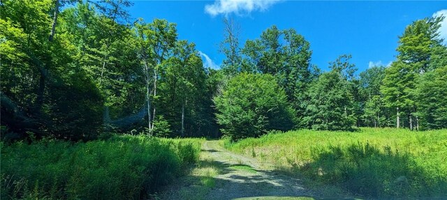 214 Larchwood Ln, Laurens, NY 13796