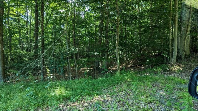 214 Larchwood Ln, Laurens, NY 13796