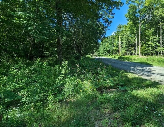 214 Larchwood Ln, Laurens, NY 13796