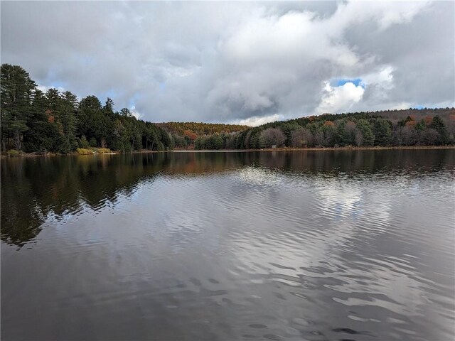 214 Larchwood Ln, Laurens, NY 13796