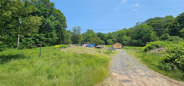 11088 River Rd, Florence, NY 13316 - photo 4