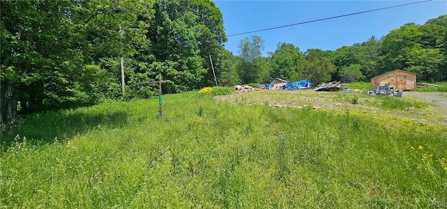 11088 River Rd, Florence, NY 13316 - photo 5