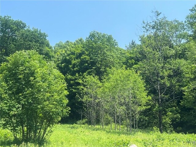 11088 River Rd, Florence, NY 13316 - photo 12