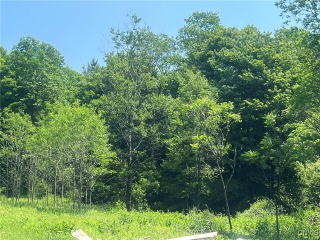11088 River Rd, Florence, NY 13316 - photo 13