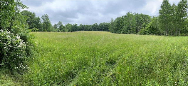 0 County Road 23, Reading, NY 14891