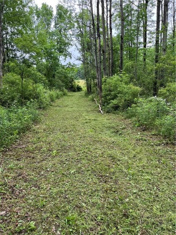 0 County Road 23, Reading, NY 14891