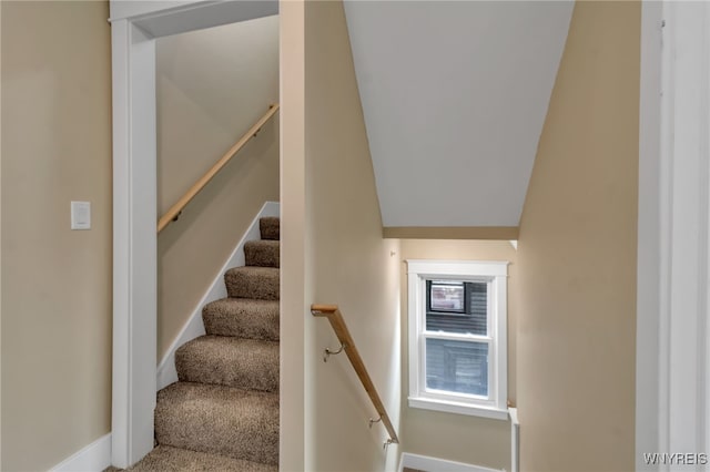 64 Sagamore Ter, Buffalo, NY 14214 - stairway with baseboards and carpet floors