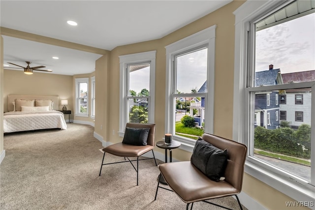 64 Sagamore Ter, Buffalo, NY 14214 - bedroom featuring carpet and recessed lighting