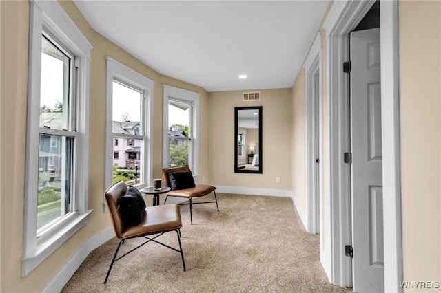 64 Sagamore Ter, Buffalo, NY 14214 - sitting room with carpet flooring and plenty of natural light