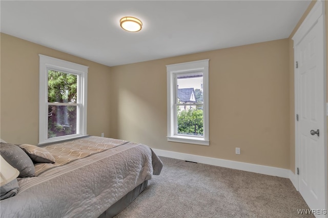 64 Sagamore Ter, Buffalo, NY 14214 - bedroom with multiple windows and carpet flooring