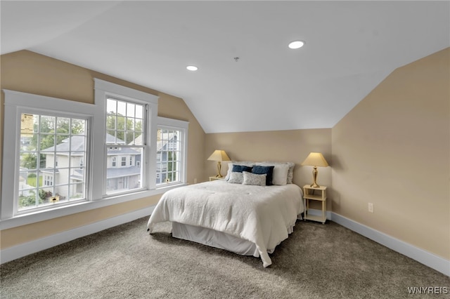 64 Sagamore Ter, Buffalo, NY 14214 - carpeted bedroom featuring lofted ceiling and recessed lighting