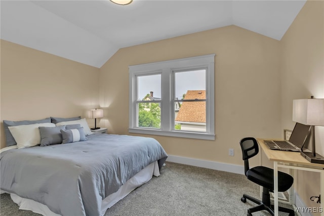 64 Sagamore Ter, Buffalo, NY 14214 - bedroom featuring vaulted ceiling and carpet floors
