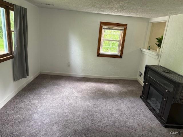 1086 Sweatman Ave, Oneida-Inside, NY 13421 - unfurnished living room featuring carpet floors and a textured ceiling