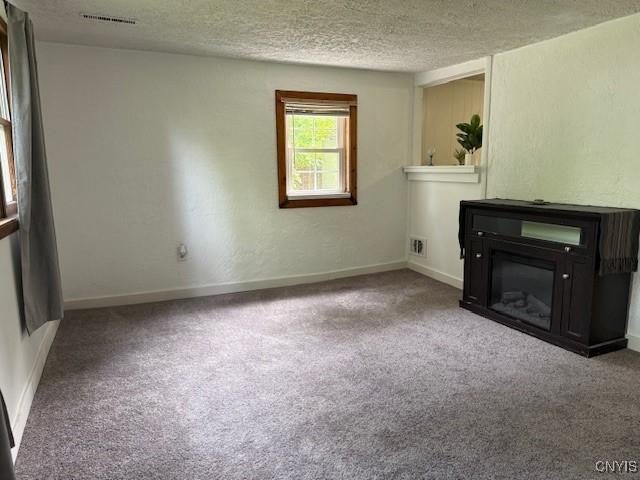 1086 Sweatman Ave, Oneida-Inside, NY 13421 - unfurnished living room with carpet floors and a textured ceiling
