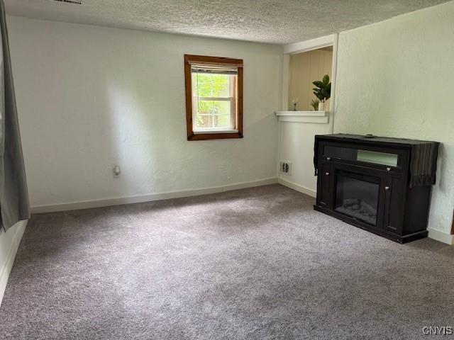 1086 Sweatman Ave, Oneida-Inside, NY 13421 - unfurnished living room with carpet and a textured ceiling