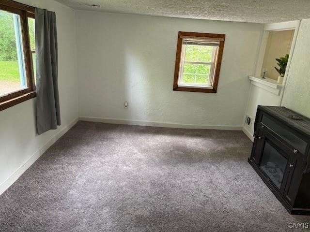 1086 Sweatman Ave, Oneida-Inside, NY 13421 - unfurnished living room featuring carpet flooring and a textured ceiling