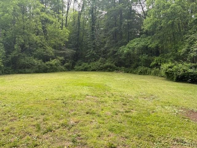 1086 Sweatman Ave, Oneida-Inside, NY 13421 - view of green lawn