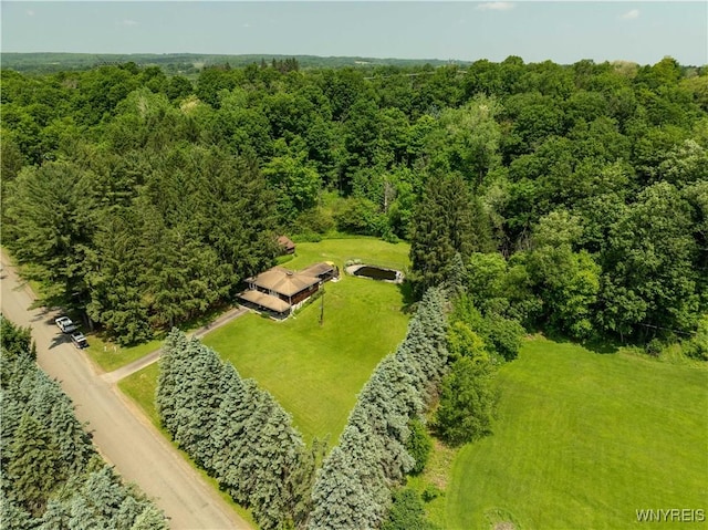 3738 Forks Rd, Yorkshire, NY 14134 - drone / aerial view of a forest