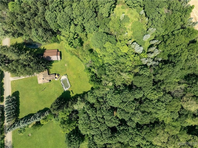3738 Forks Rd, Yorkshire, NY 14134 - view of property location