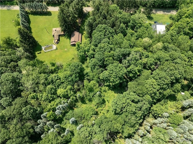 3738 Forks Rd, Yorkshire, NY 14134 - drone / aerial view