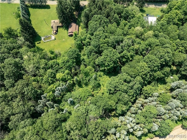 3738 Forks Rd, Yorkshire, NY 14134 - aerial view of property and surrounding area with rural landscape