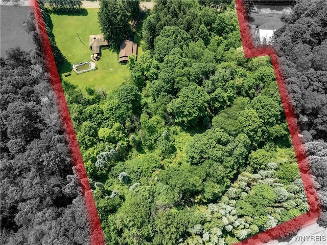 3738 Forks Rd, Yorkshire, NY 14134 - aerial overview of property's location with property boundaries highlighted