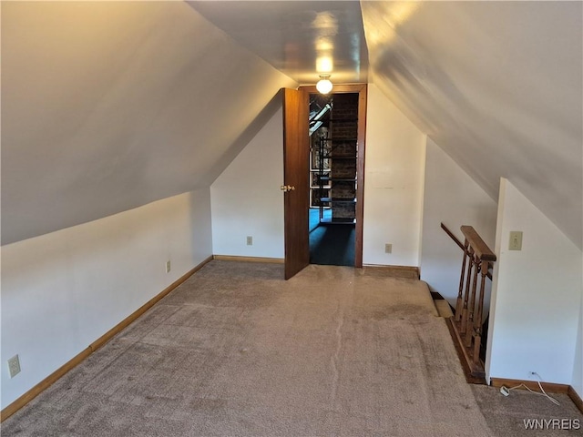 359 Utica St, Tonawanda-City, NY 14150 - additional living space with carpet and vaulted ceiling