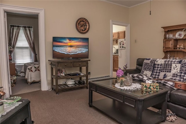 21 Washington St, Greene, NY 13778 - carpeted living area featuring ornamental molding and a sink