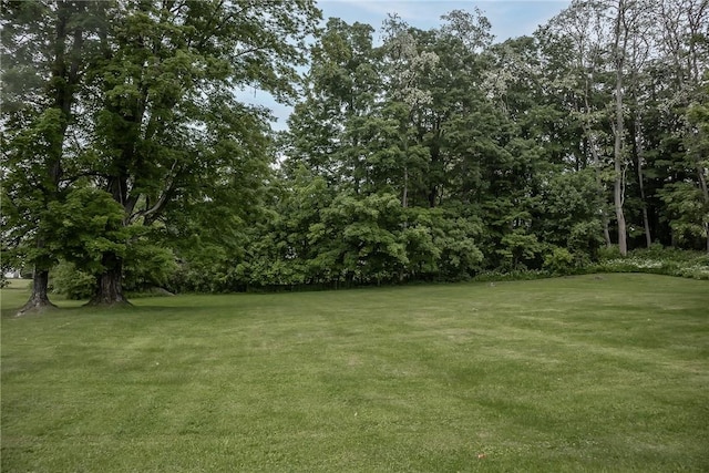 21 Washington St, Greene, NY 13778 - view of grassy yard