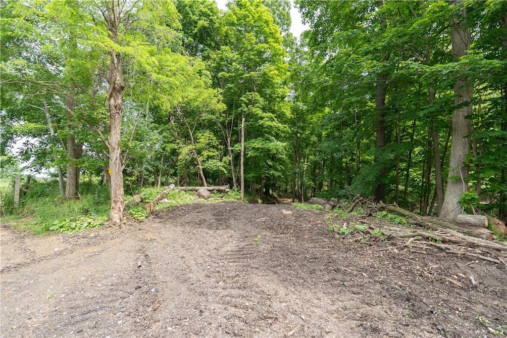 0 Leicester Rd, Leicester, NY 14481 - photo 1
