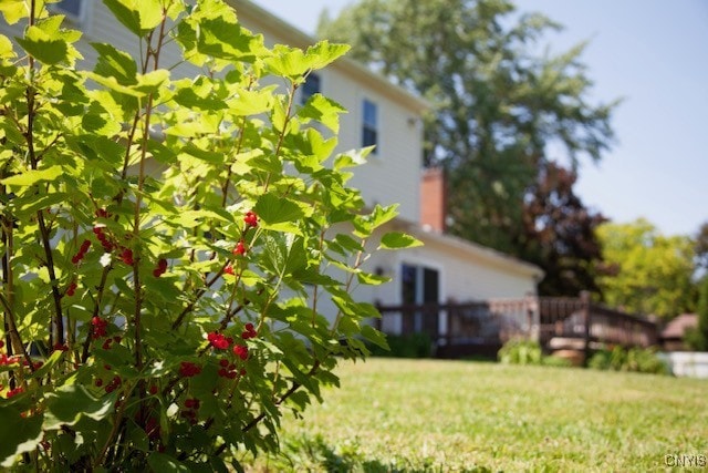 5458 Oxbow Rd, Cazenovia, NY 13035 - view of grassy yard
