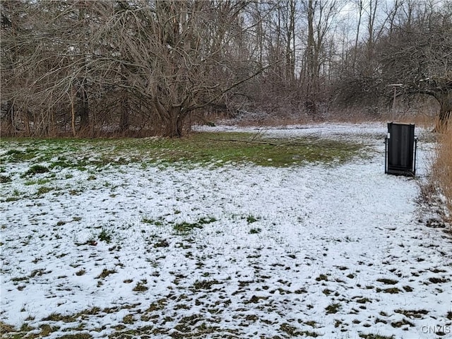 1665 State Route 31, Sullivan, NY 13037 - view of yard layered in snow