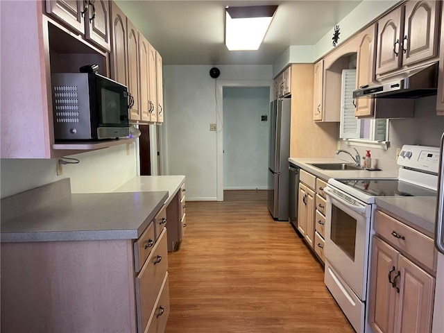 119 Platt St, Erwin, NY 14870 - kitchen with white range with electric cooktop, under cabinet range hood, light wood-style flooring, dishwasher, and freestanding refrigerator