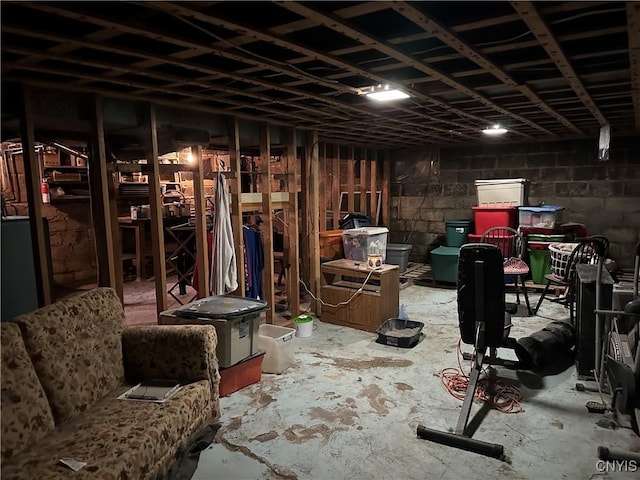522 Craig St, Syracuse, NY 13208 - view of below grade area