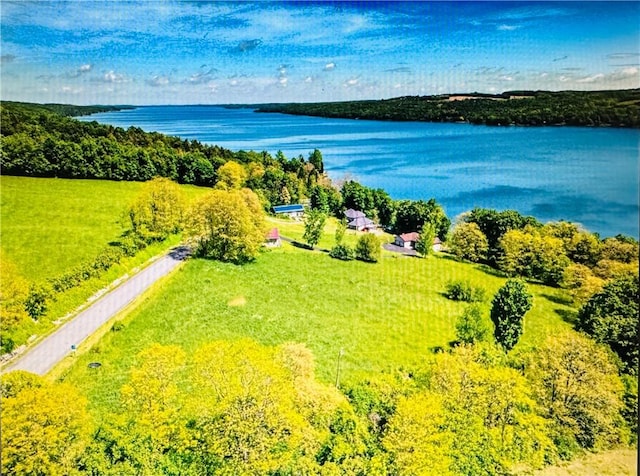 Ensenore Rd, Scipio, NY 13147